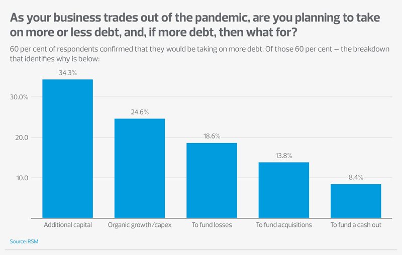 Are you planning to take on more or less debt? graph